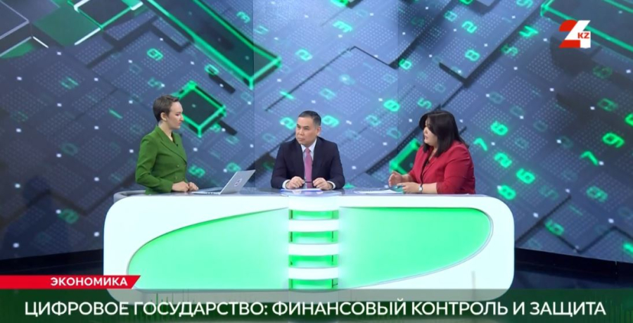 Цифровое государство: Финансовый контроль и защита