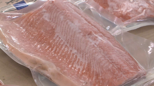 Қазақстандықтар балықты қажетті мөлшерден 4 есе аз тұтынады