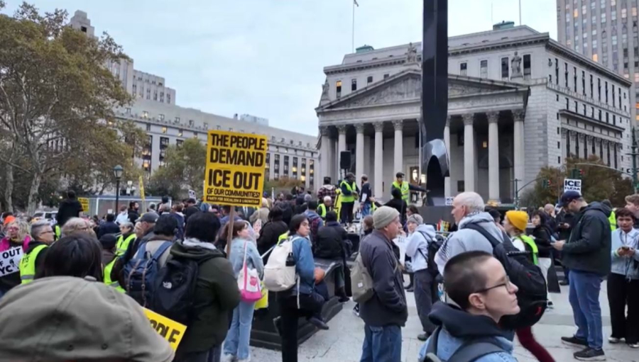 Нью-Йоркте мигранттар тексерісіне қарсы шеру өтті