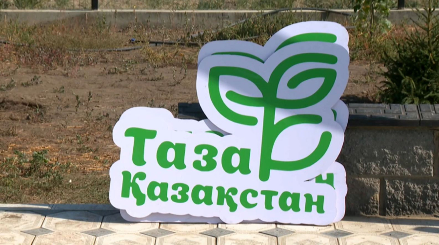 Абай облысында үш мың түп ағаш егілді