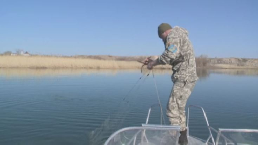 Почти 36 км рыболовных сетей достали со дна водоёма в Карагандинской области