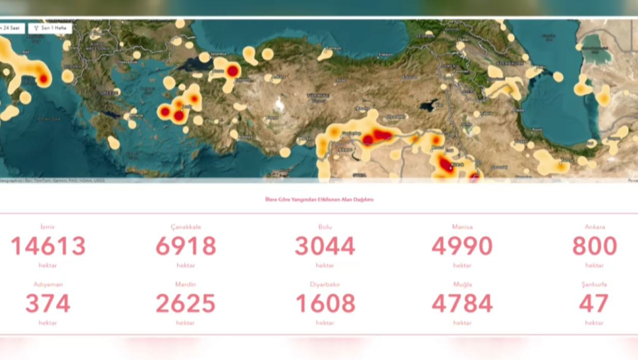 Түркияда алапат орман өртінен 50 мың адам эвакуацияланды
