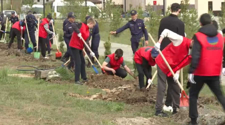 Более 150 деревьев высадили в парке в Кокшетау