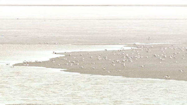 Уровень воды резко повысился в реке Аршалы