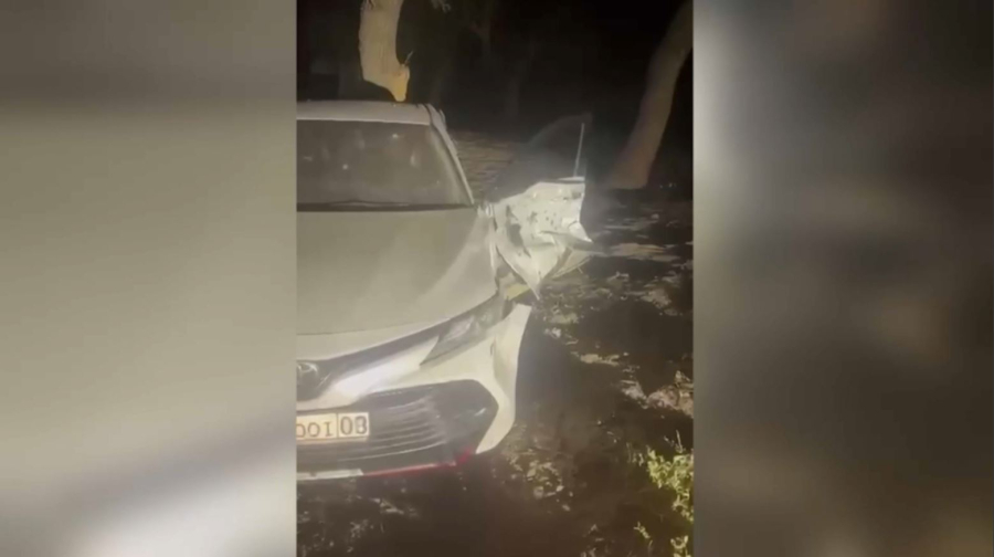 Мойынқұмда оқ атқан екі адамға іздеу жарияланды