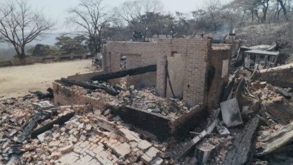 Лесные пожары унесли жизни 18 человек в Южной Корее