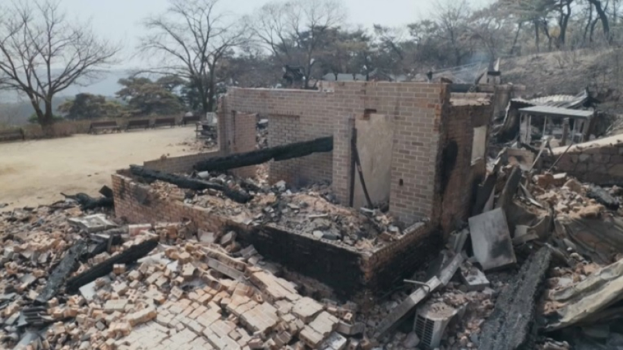 Лесные пожары унесли жизни 18 человек в Южной Корее