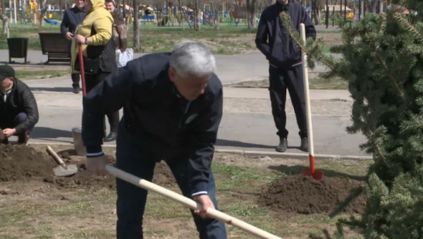 В Караганде стало на 2 тысячи деревьев больше