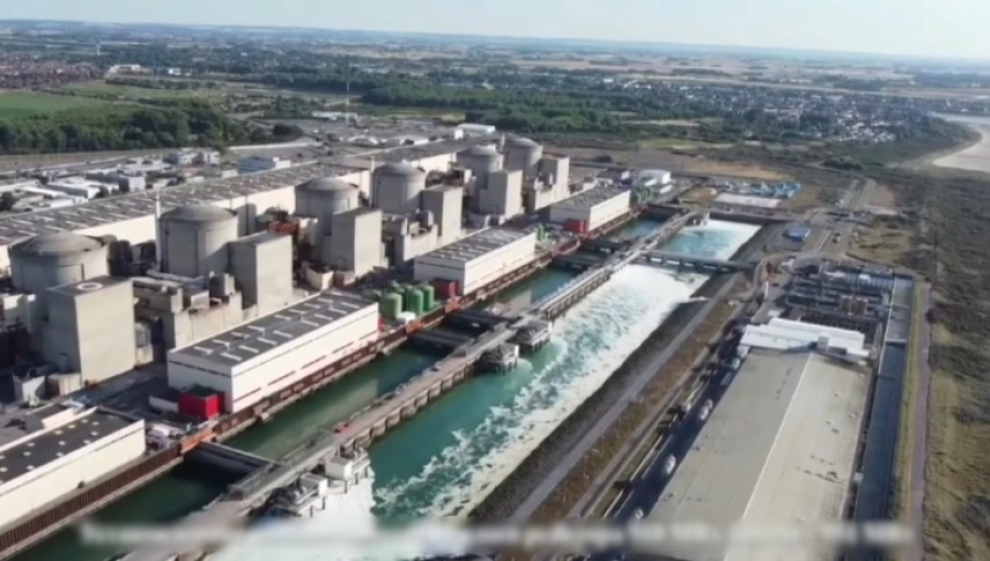 Медузы остановили работу крупнейшей АЭС Франции