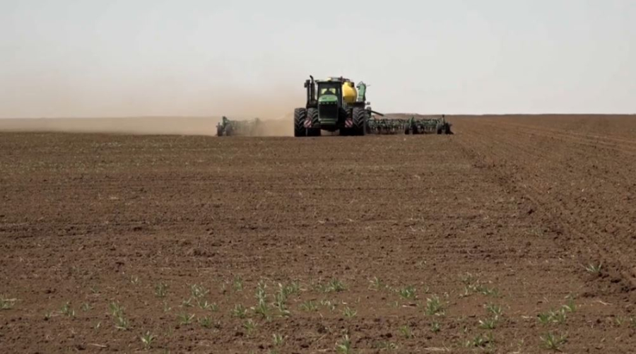 Қарағанды облысында майлы дақылдар алқабы ұлғаяды