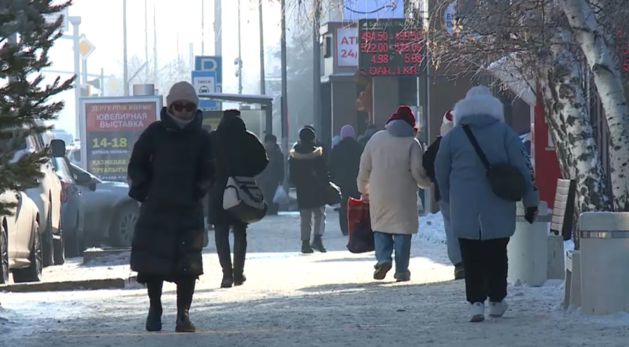 Жаңа Конституция жобасы билік тармақтары арасындағы тепе-теңдікті нығайтады