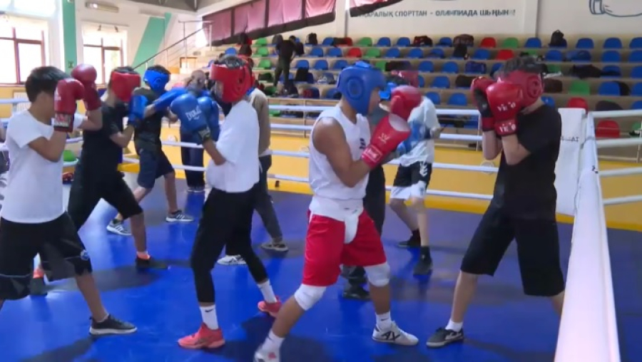 Чемпионов растят в Жамбылской области