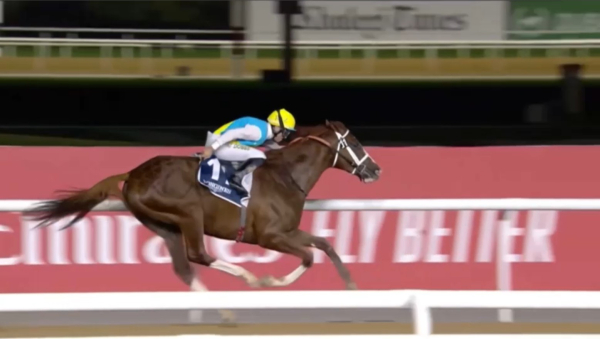 Казахстанского скакуна Кабирхана оценивают в 20 млн долларов