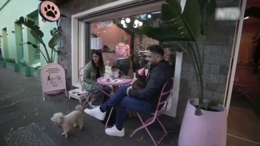 Аргентинада балаларға қарағанда иттер көбейіп бара жатыр