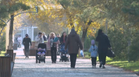 Алматы облысындағы 333 саяжай жақын елді мекендерге қосылады