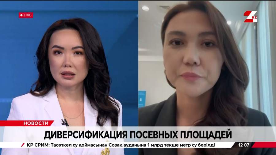Диверсификация посевных площадей. Назгуль Хатепова