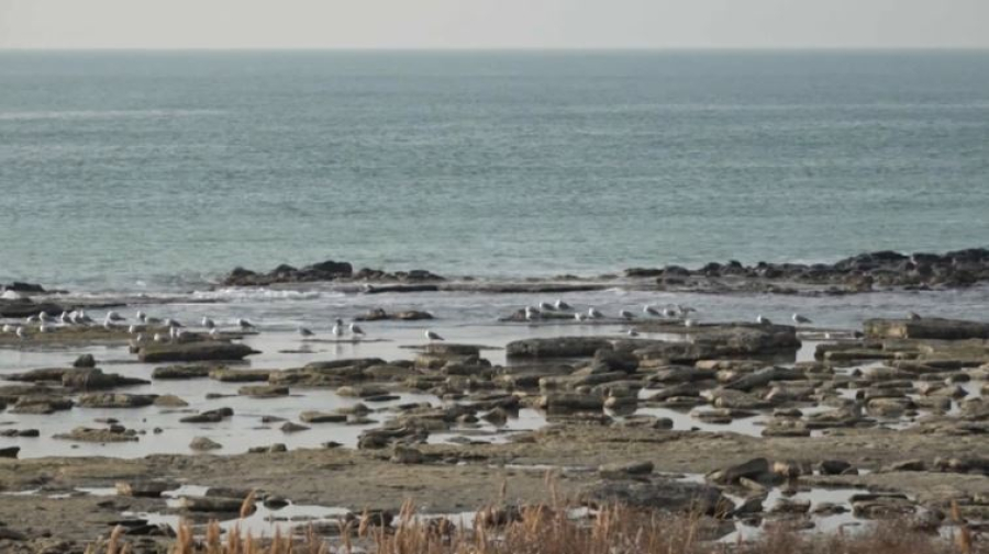 Инициативы Казахстана на саммите ШОС