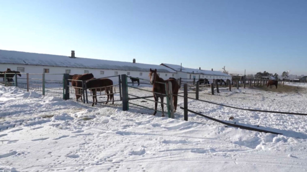 Долю переработки в АПК в 2025 году доведут до 50%