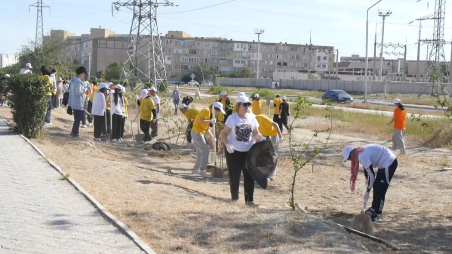 Ақтаулық студенттер шағын аудандардың аумағын абаттандыруға атсалысты
