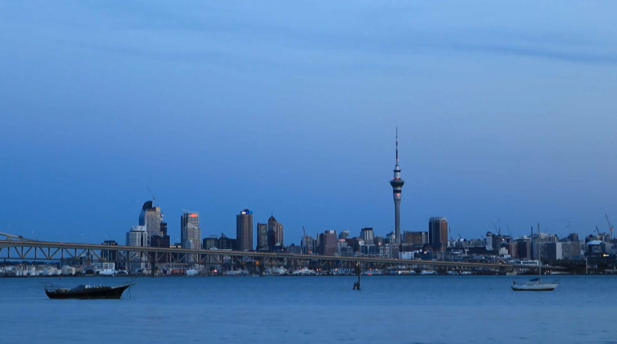 Жаңа Зеландия жабайы мысықтарды толық жоймақ