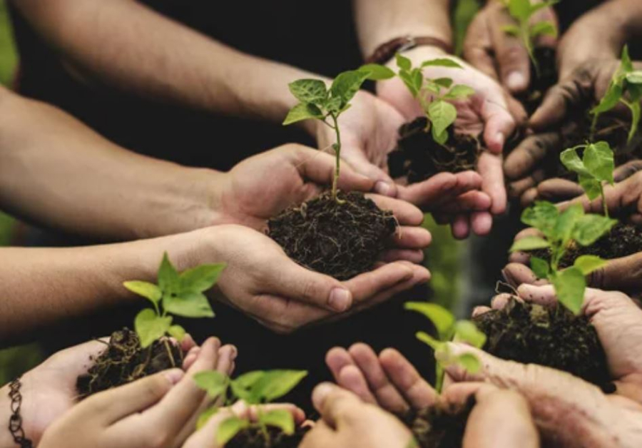 Среди школьников Алматы стартовал общегородской экологический челлендж