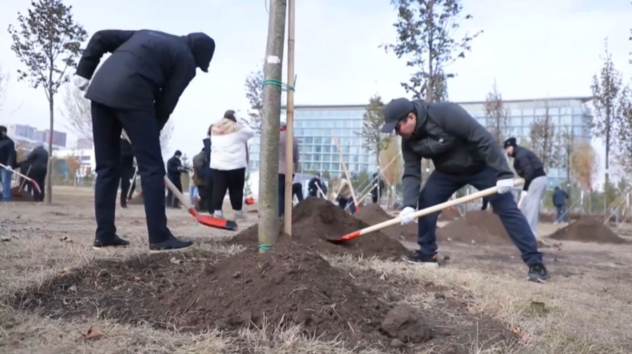 «Таза Қазақстан»: 458 саженцев высадил Аппарат Правительства