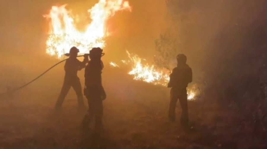 Пожары в Испании: сгорело 115 тысяч гектаров леса