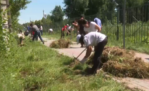 80 тысяч саженцев высадили в Сарканском районе