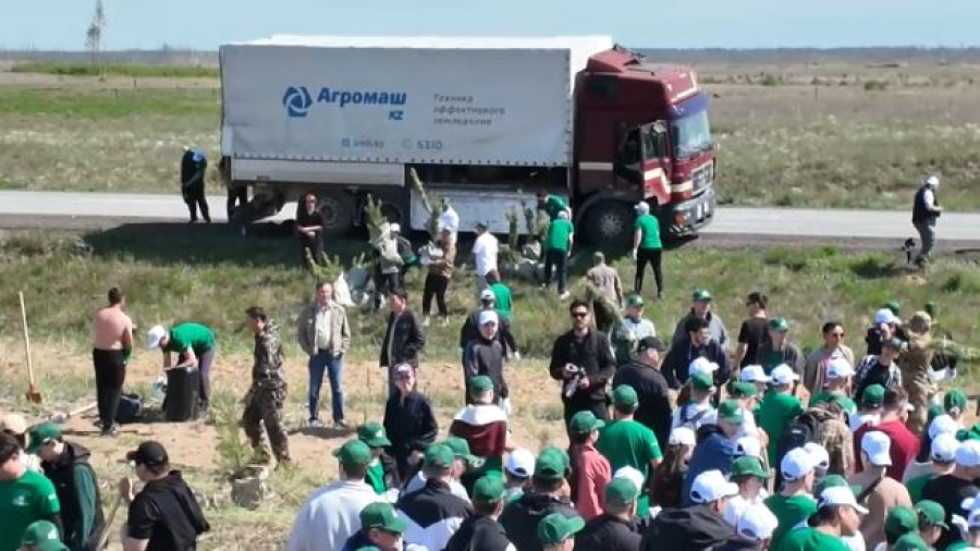 Қостанай облысында орманның өртенген алқабында 5 мың ағаш егілді