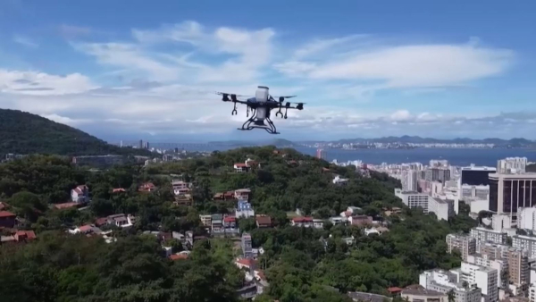 Бразилияда өртенген орман алқаптары қалпына келтіріліп жатыр