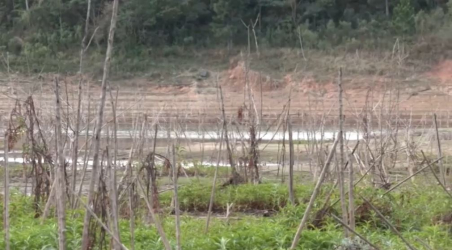 Елордада БҰҰ-ның қолдауымен өңірлік экологиялық саммит өтеді