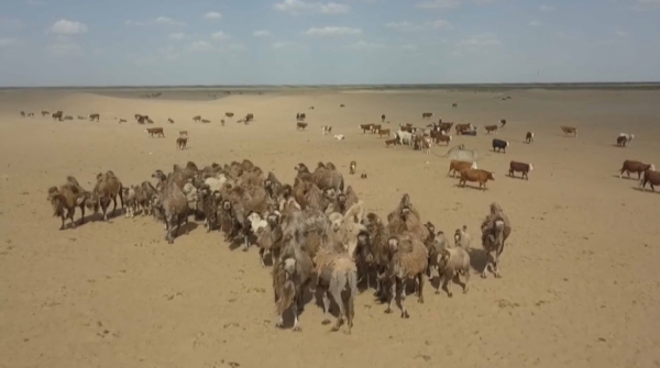 Атырау облысында 550 шаруаның несиесі кейінге шегеріледі