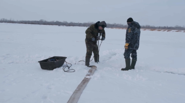 Павлодар облысында балықтарды құтқару науқаны басталды
