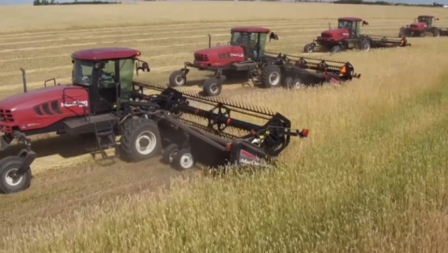 В Правительстве подвели итоги уборочной кампании