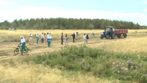 Шахтинск қаласында «Таза орман» акциясы өтті