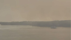 Крупный пожар тушат в пойме Иртыша в Павлодаре