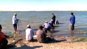 Какие предложения по спасению Арала прозвучали на слёте рыбаков в Кызылординской области