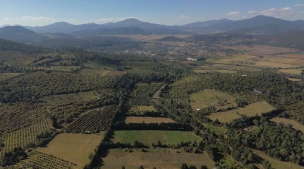 Товаропроизводители из Мексики надеются на отсрочку ввода тарифов США