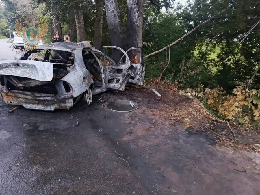 Жол апатынан алты адам тірідей өртеніп қаза тапты
