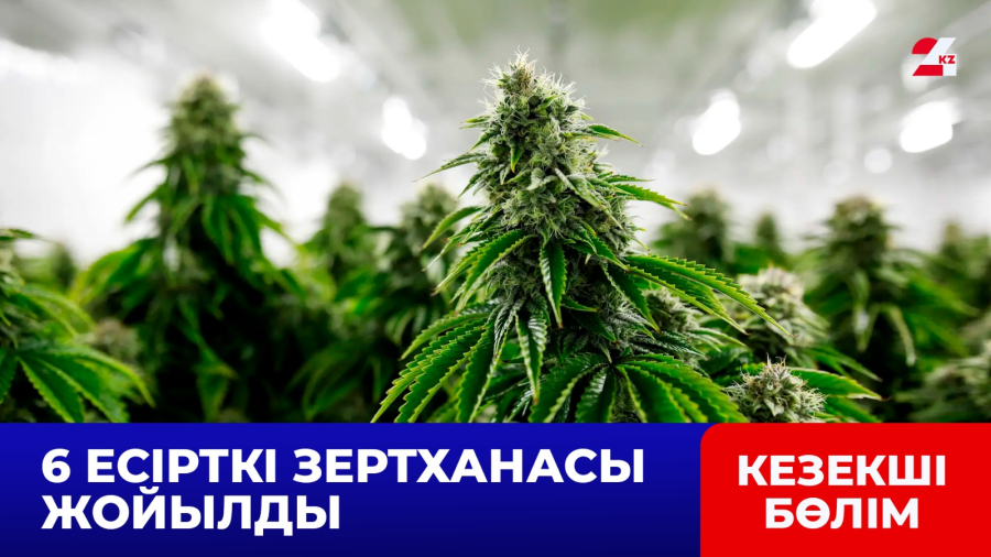 «Қарасора» операциясы: бес айда 27 тонна есірткі тәркіленді