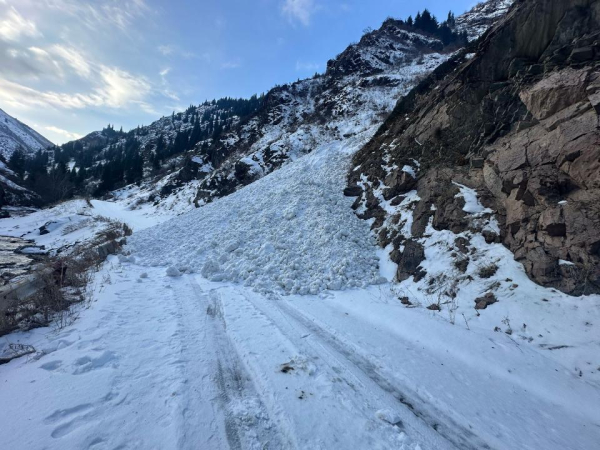 Снежная лавина сошла в Алматинской области