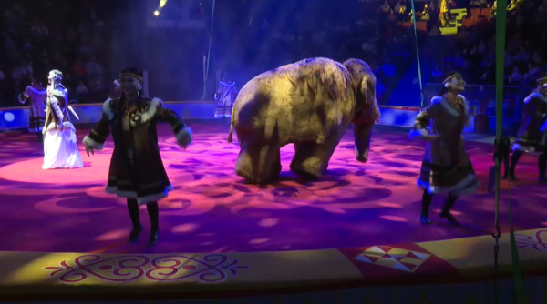 В столице завершились гастроли Бриллиантового цирка Якутии