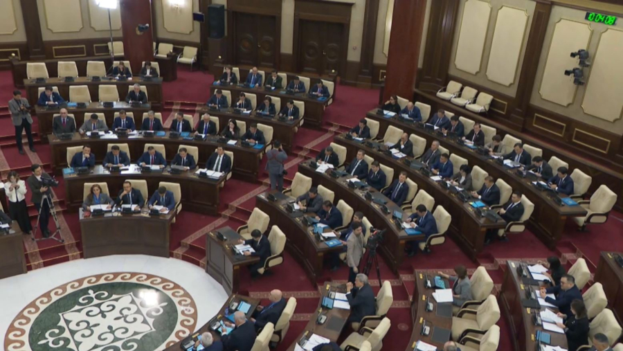 Үкіметке азаматтардың өтініші жолданды