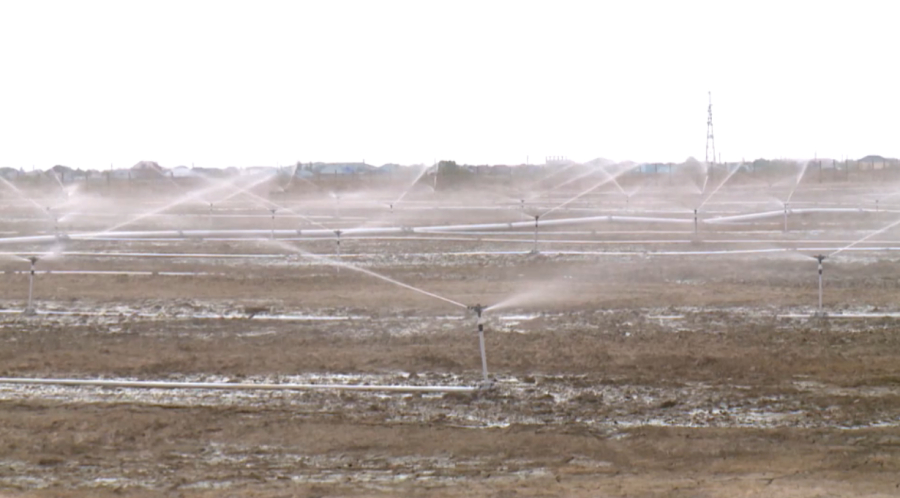 Посевы культур с высоким расходом воды сократят в Казахстане