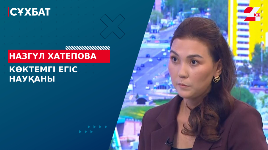 Көктемгі егіс науқаны. Назгүл Хатепова