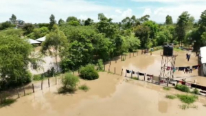 Число погибших при наводнениях в Кении возросло до 200