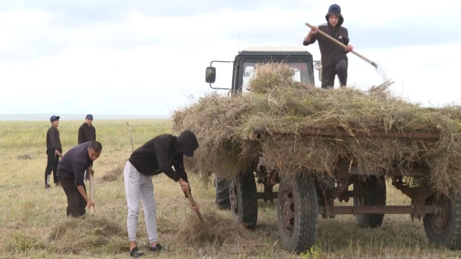 Ақтөбе облысында «Ауыл Life» жобасы басталды