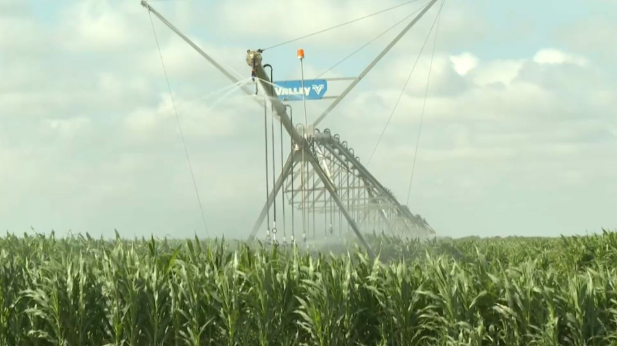 Қызылорда облысының диқандары су үнемдеу әдістерін қолданады