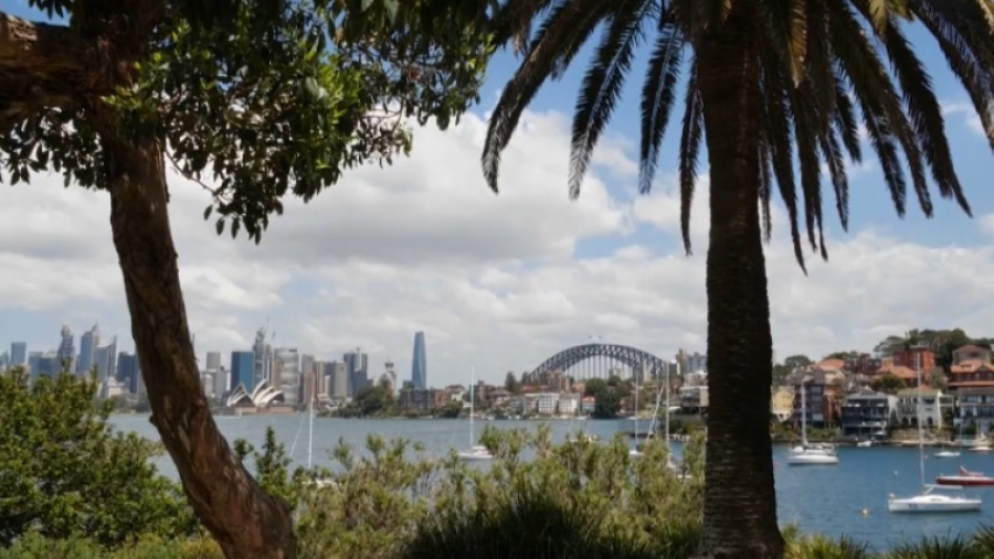 Как алименты на детей платят в разных странах