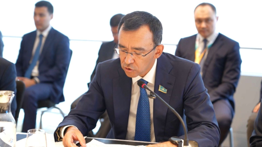 Мәулен Әшімбаев ұйымшыл қоғам жөніндегі конференцияға қатысты